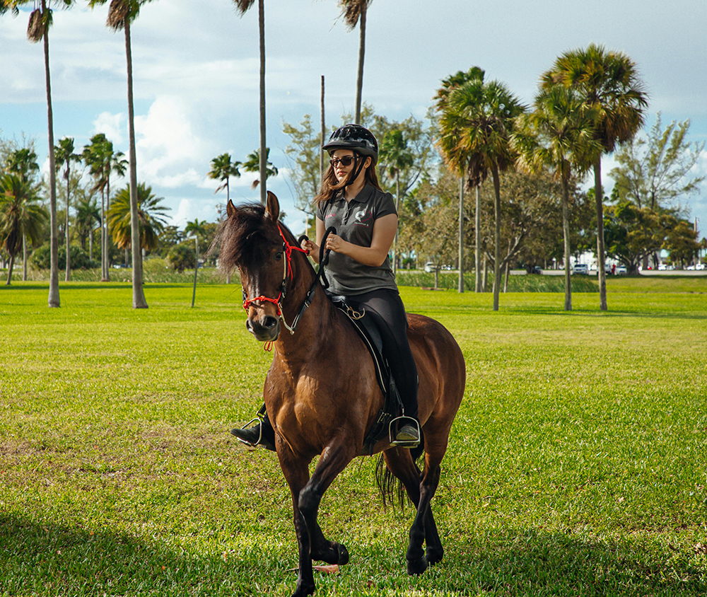 Equestrian in Ocala, Florida