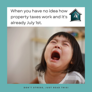 property tax denial appeal deadlines map florida